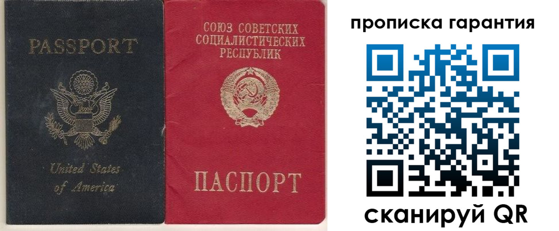 прописка для работы в Мытищах